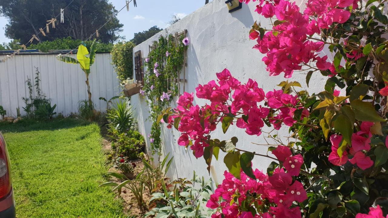 Casa Pelicano Chiclana de la Frontera Buitenkant foto